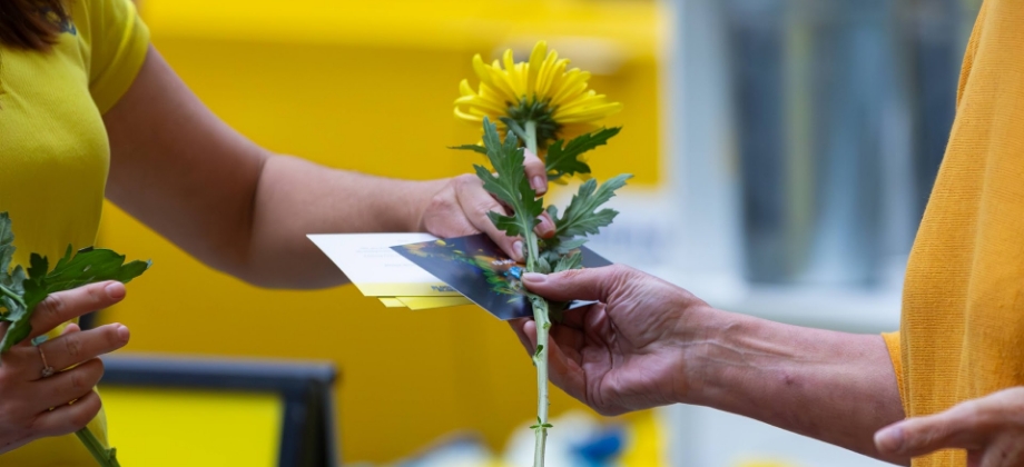 Hands handing flower