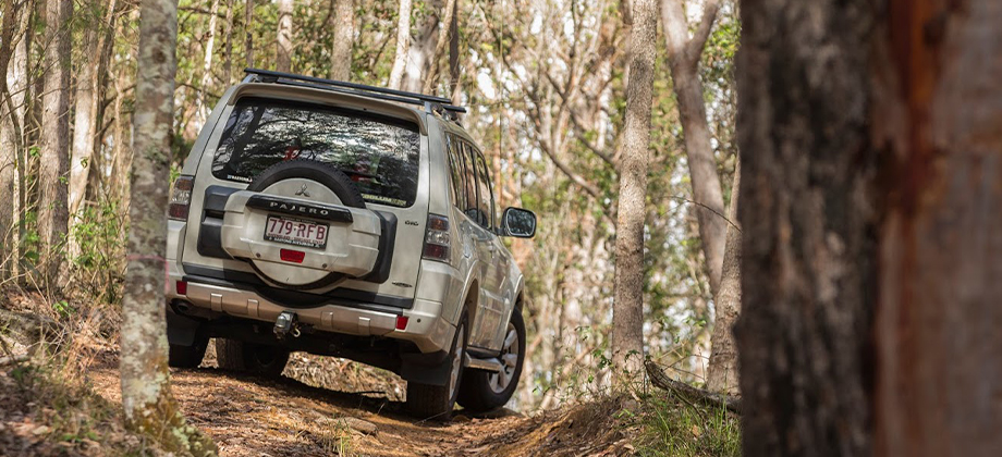 4WD Track