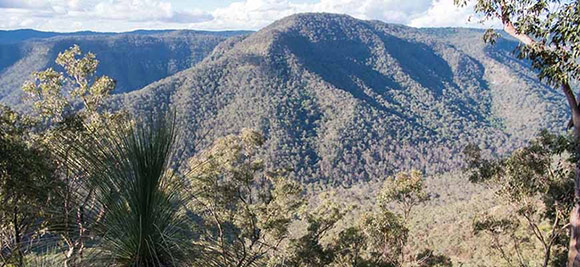 national park in qld