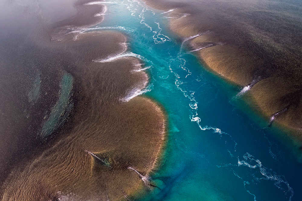 Montgomery Reef in the Kimberley.