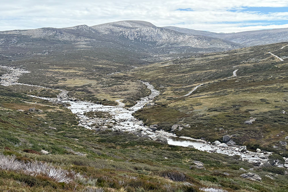 Snowy River.