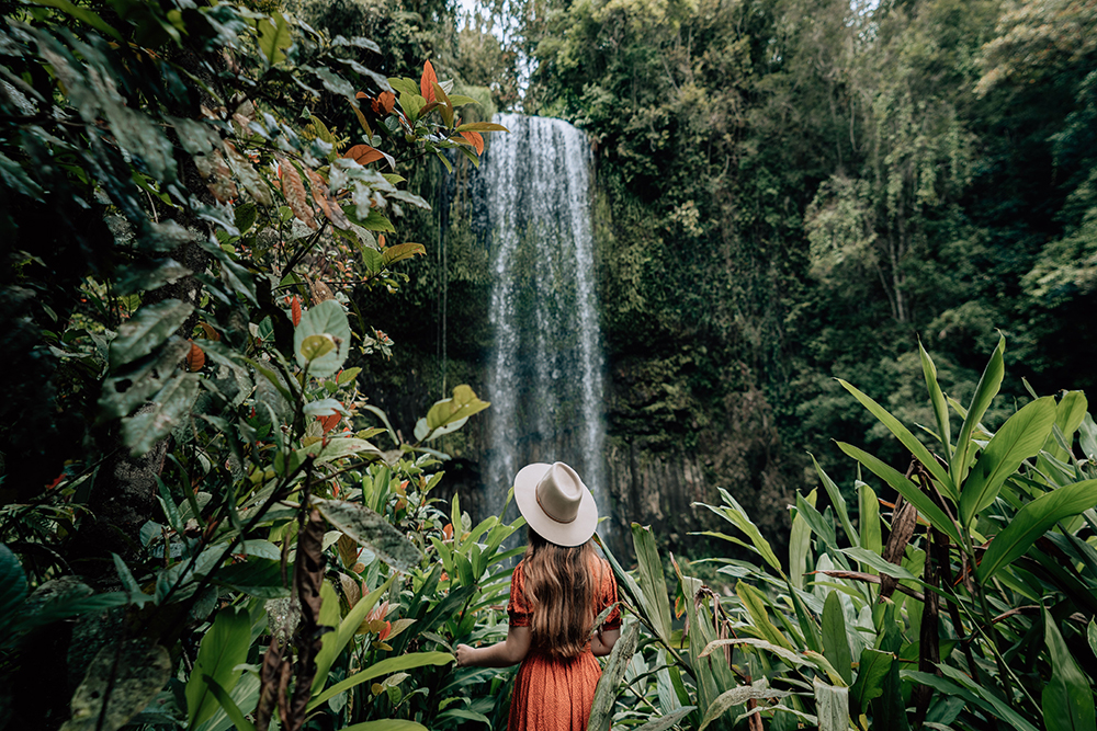 Millaa Millaa Falls cascading into a rainforest pool in the Atherton Tablelands, Tropical North Queensland 