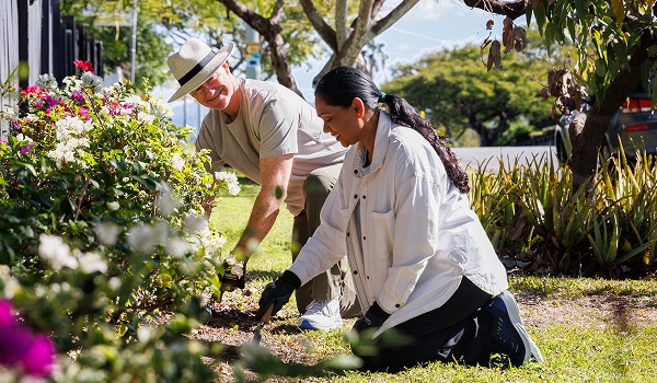 Two people gardening in a sunny garden with gloves and gardening tools