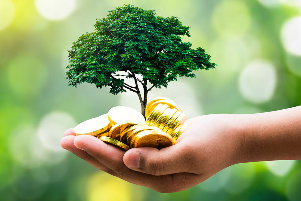 How To Grow Your Bank Savings | RACQ