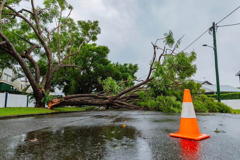 Ex-TC Alfred - Wooloowin fallen