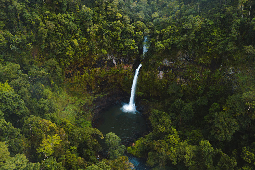 Five themed Queensland road trips to explore | RACQ