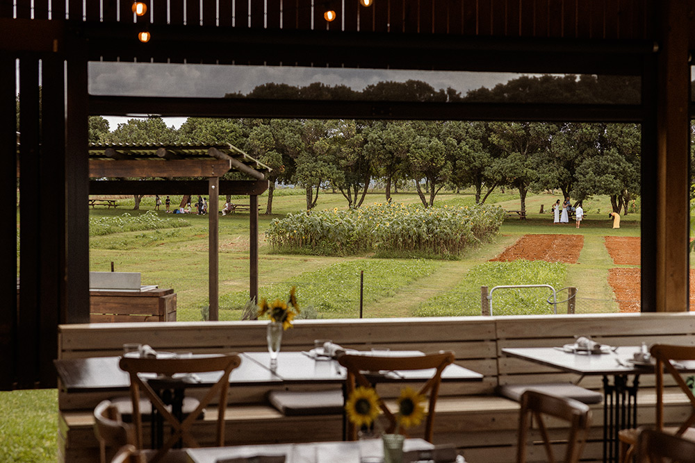 A view from inside Farm and Co. Restaurant.