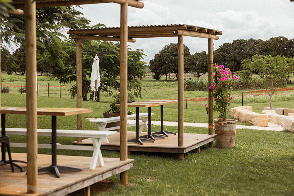 Outdoor seating at Farm and Co. Restaurant.