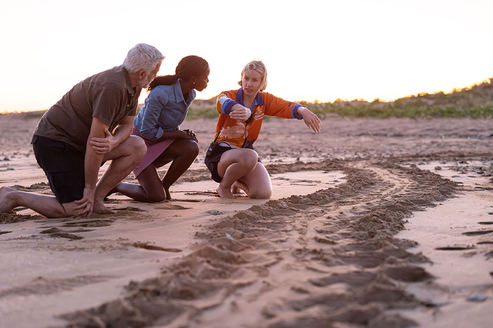 A guide shows tourists track on the Turtle Tracks Tour Sea near Darwin