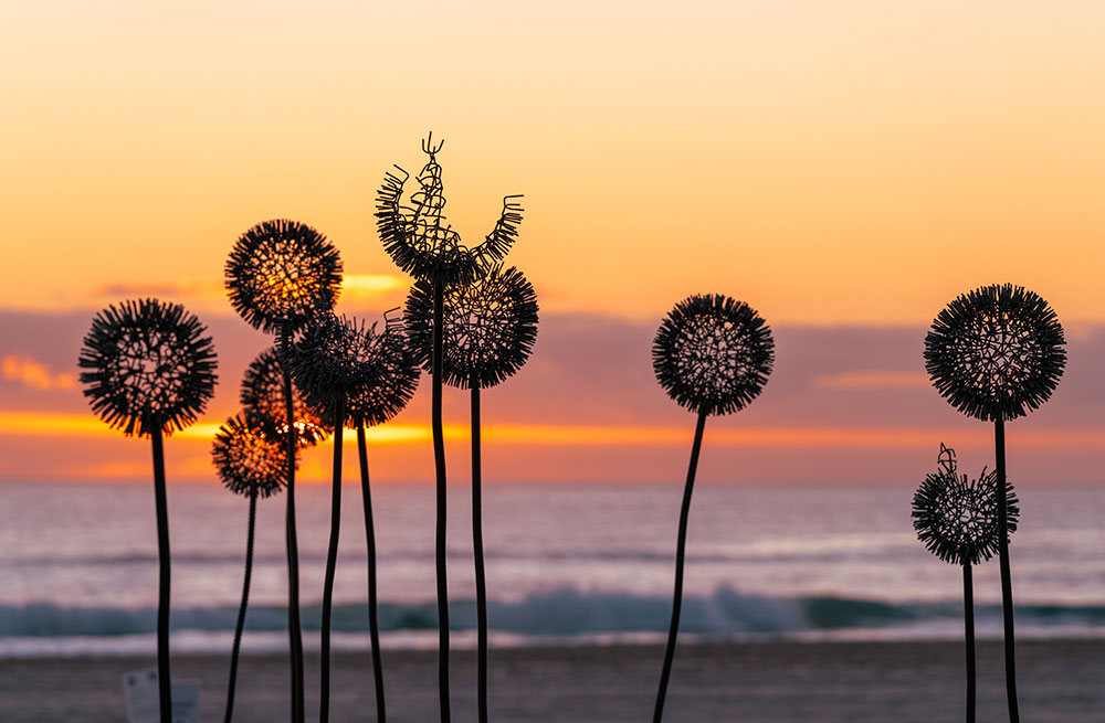 Currumbin Beach will host the Swell Sculpture Festival.