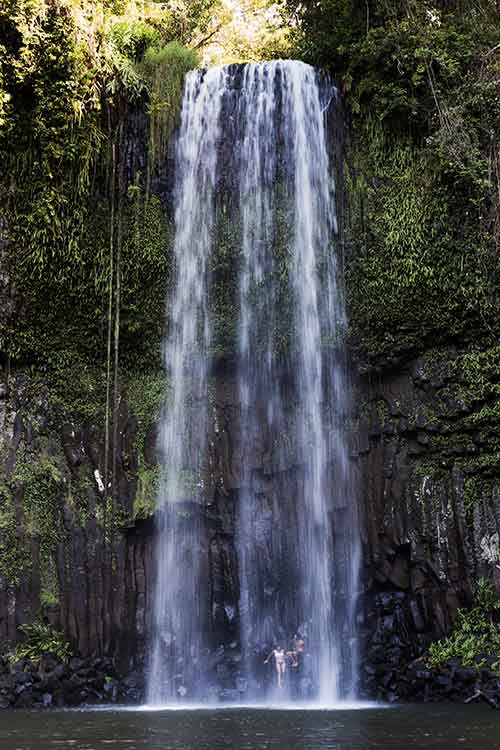 Millaa Millaa Falls.