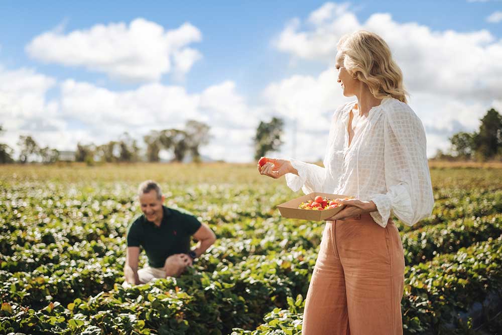 Couple picking strawberries at Ashbern Farms Phot TEQ