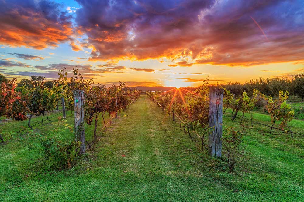 Granite Belt wine country