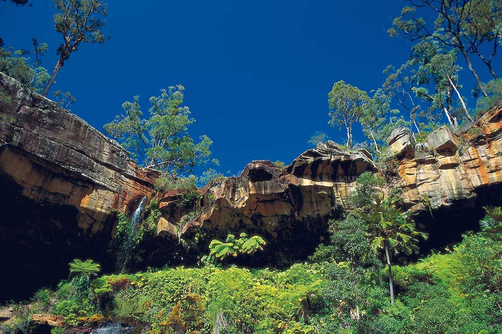Sandstone cliffs in Blackdown Tableland National Park