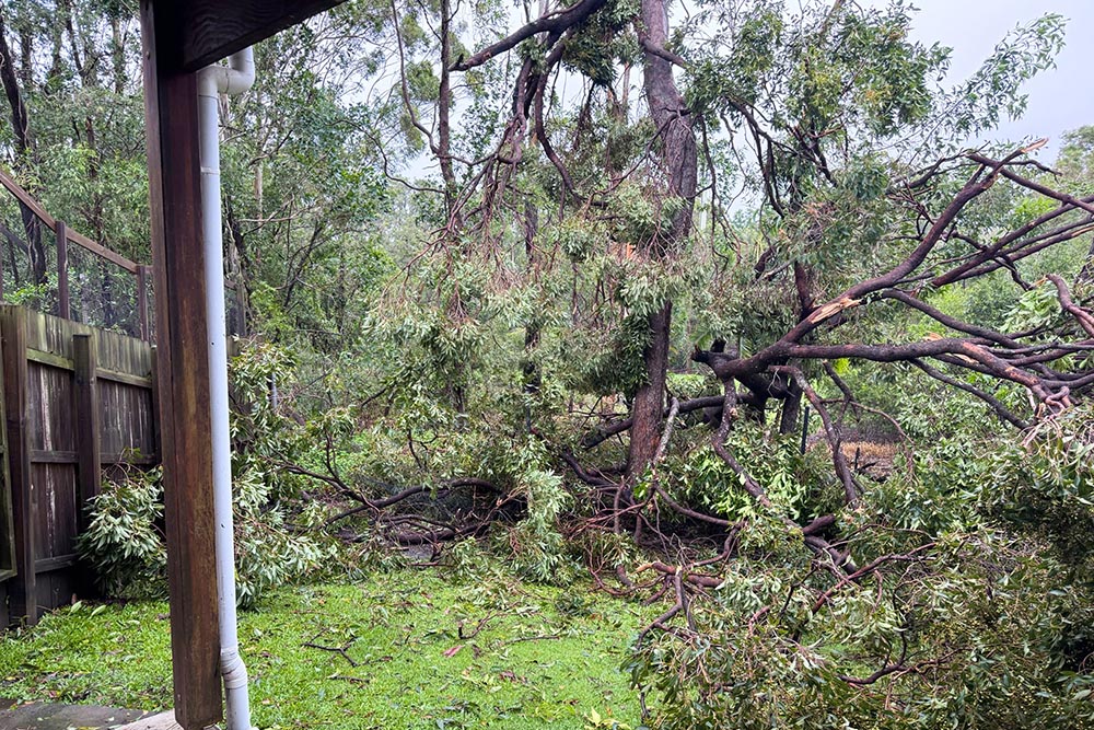 ex-Tropical cyclone Alfred