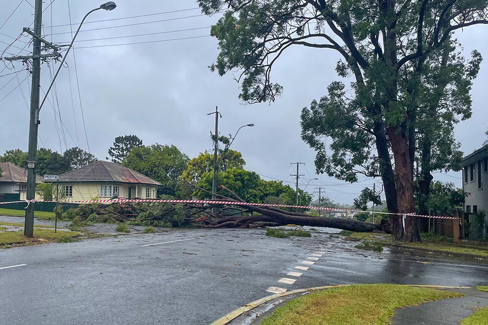 ex-Tropical cyclone Alfred