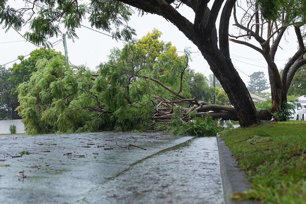 ex-Tropical cyclone Alfred