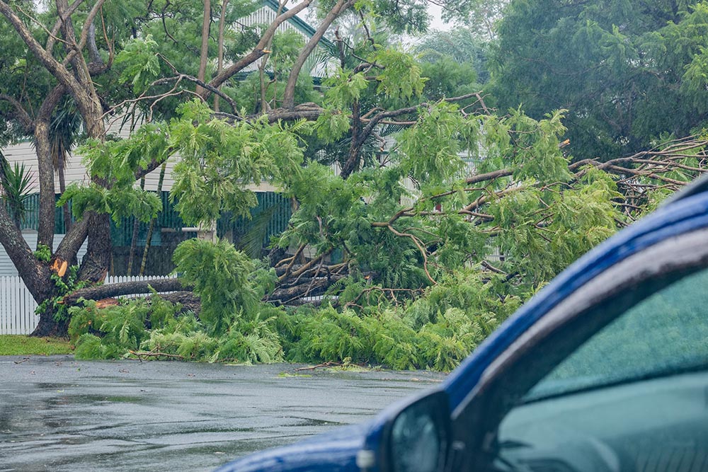 ex-Tropical cyclone Alfred