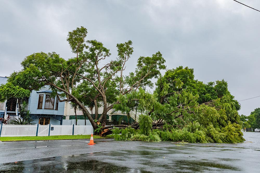 ex-Tropical cyclone Alfred