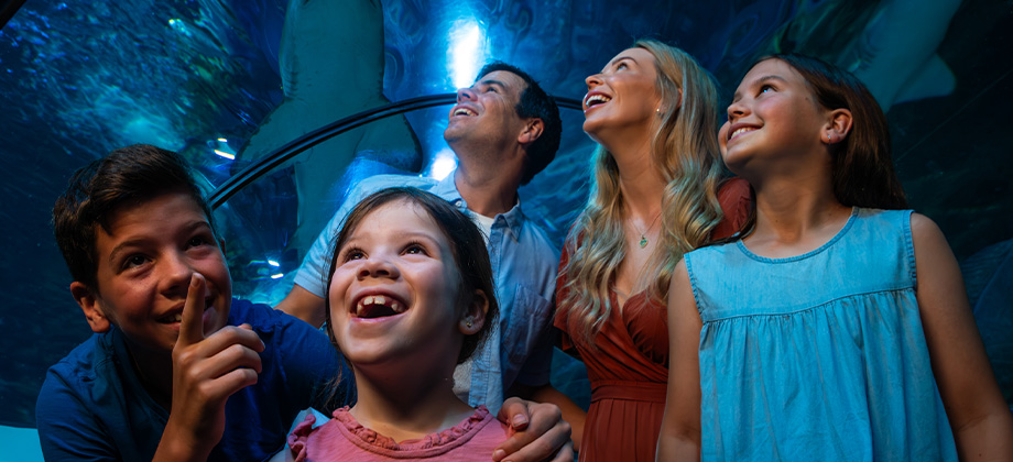 sealife-aquarium-family