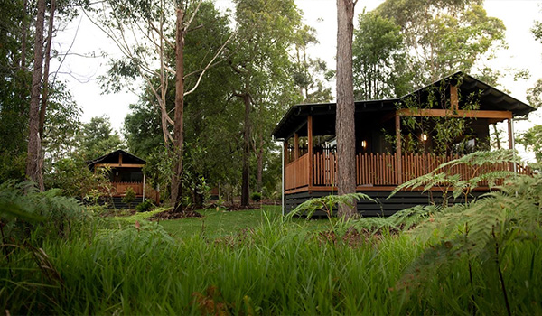 Red kangaroo cabin Australia zoo